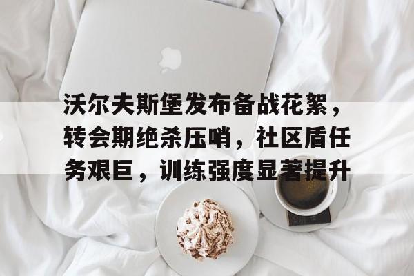 包含沃尔夫斯堡发布备战花絮，转会期绝杀压哨，社区盾任务艰巨，训练强度显著提升的词条-九游娱乐